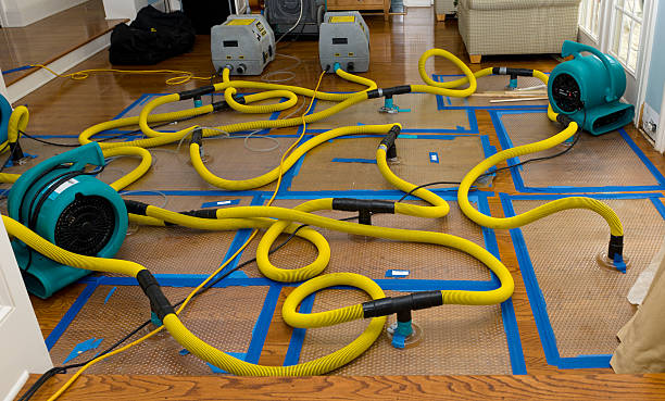 Professional Basement Flood Cleanup technician working in Stockbridge, MI
